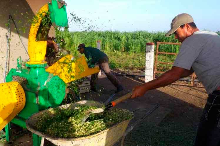 Cuba-agricultura-electricidad