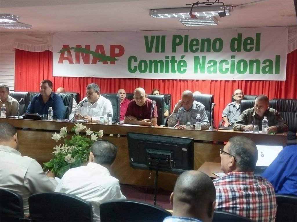 Pleno-ANAP