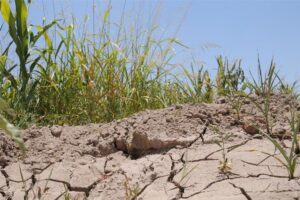 rainfall-shortages-in-el-salvador-in-may