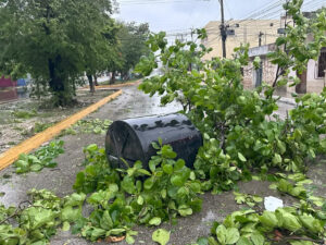 mexico-without-deaths-from-beryl-according-to-preliminary-report