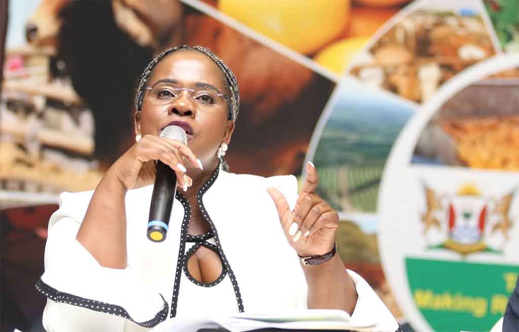 south-africa-labor-minister-draws-up-priorities-to-generate-jobs