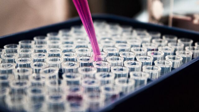 the-us-gathered-16000-biological-samples-in-ukraine-russia-says