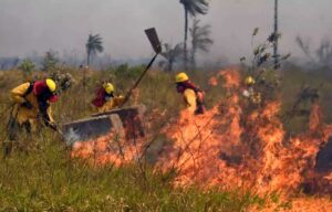 bolivia-maintains-aerial-operations-against-forest-fires